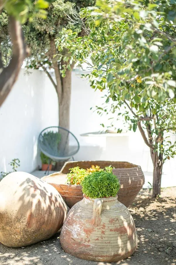 Mykonos Town Mytheo 아파트 호텔 아파트호텔 Mykonos Town